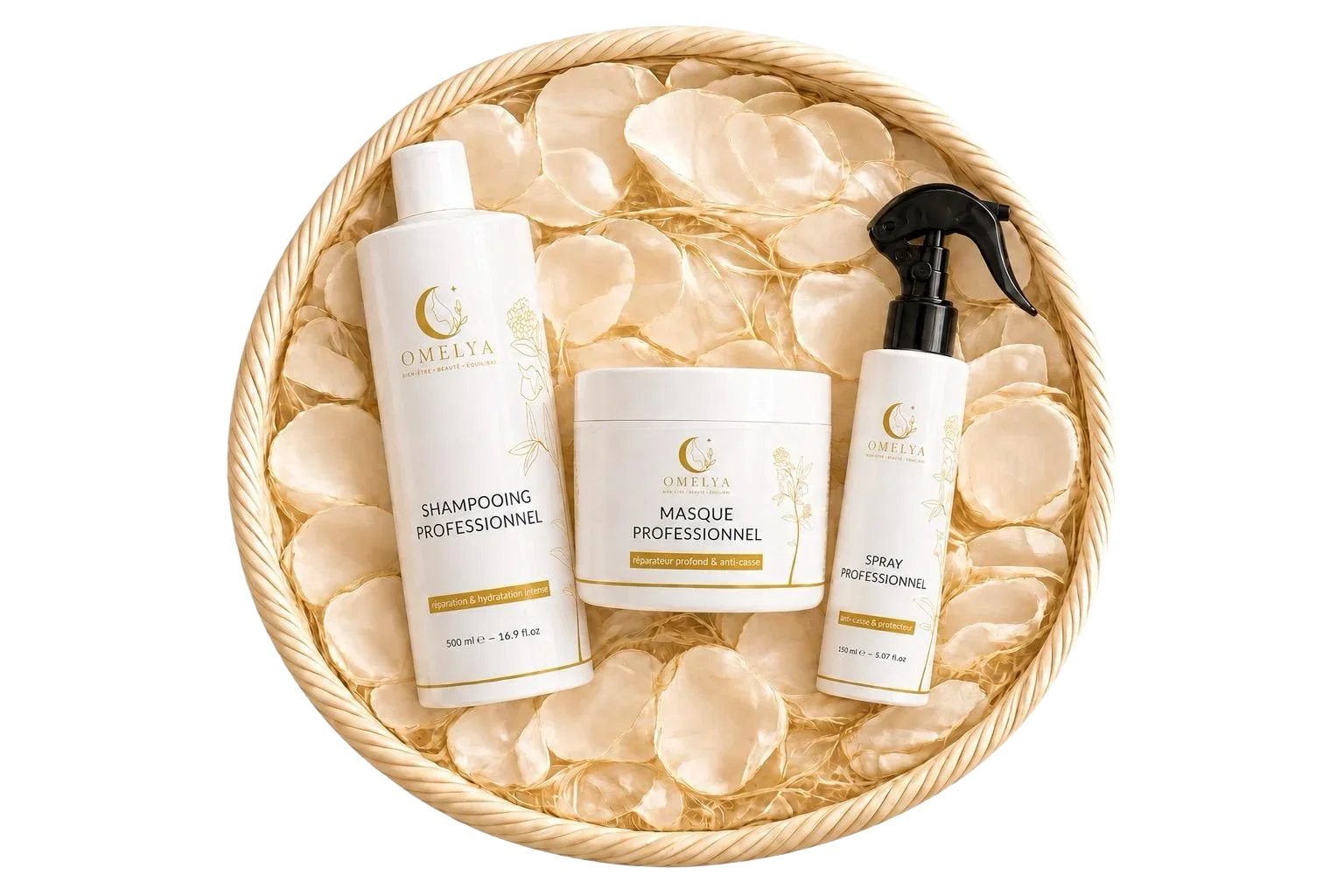 Masque Professionnel